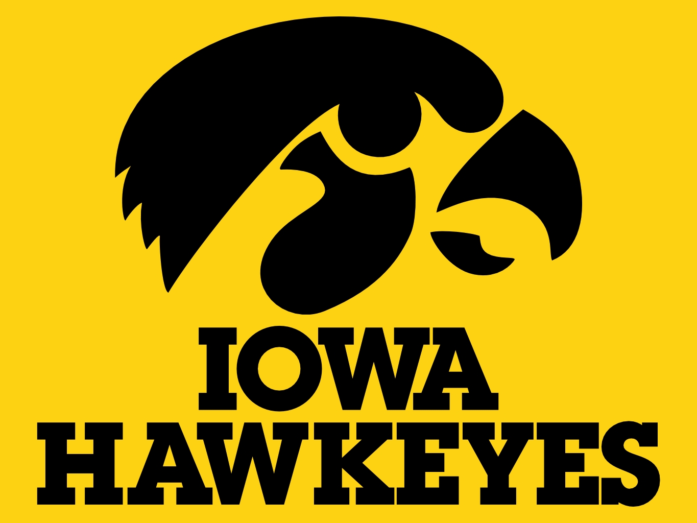 Iowa Hawkeyes  hawkeye football background