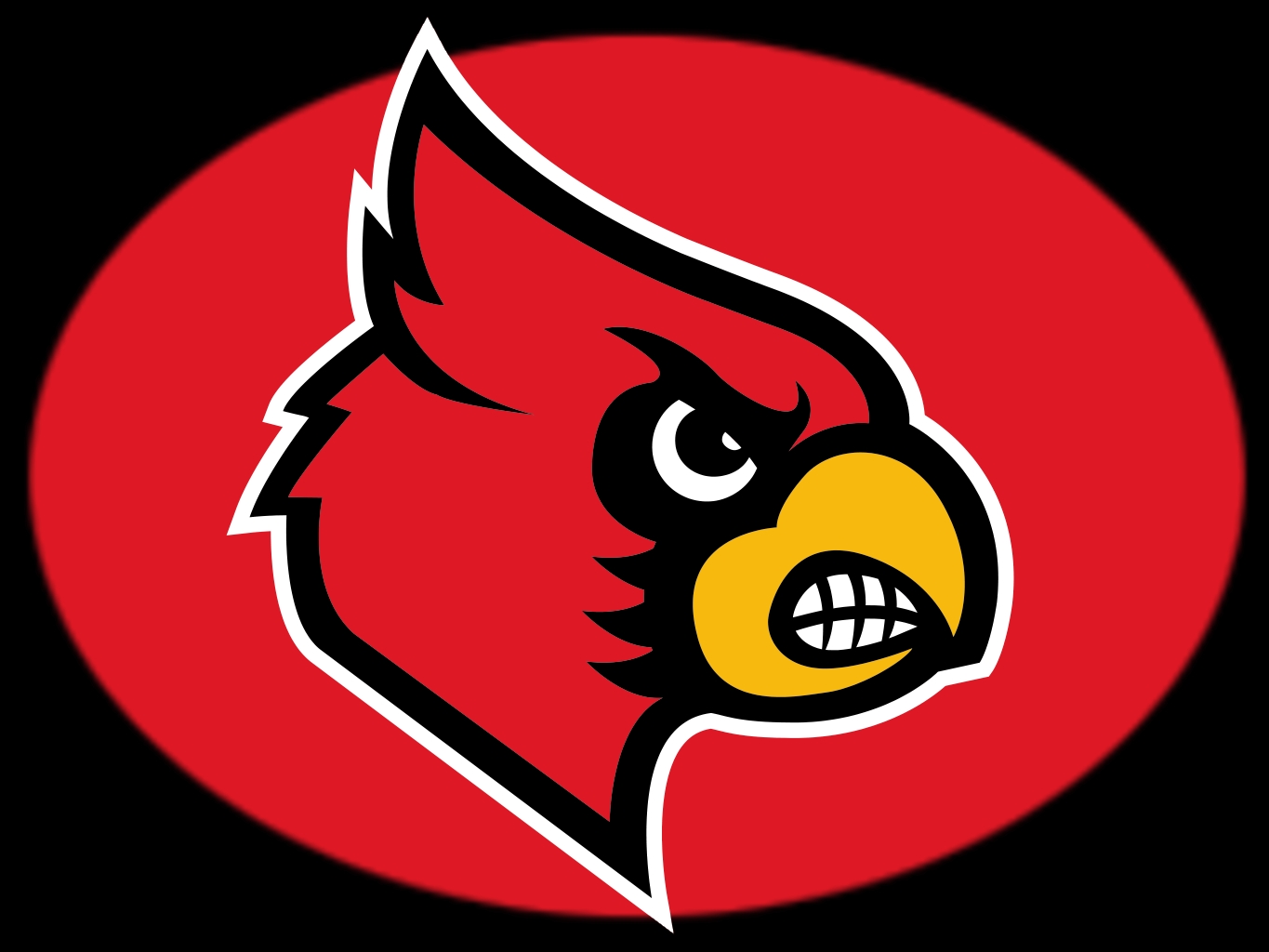 Louisville Cardinals