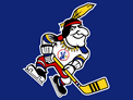 Kansas City Scouts