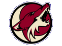 Phoenix Coyotes